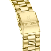 Orologio Festina Uomo Acero Classico in Acciaio placcato oro giallo F20555/3 - F20555/3